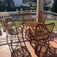 Set da giardino  vimini