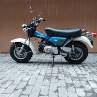 Suzuki RV 90 - iscritto FMI