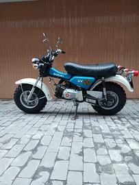 Suzuki RV 90 - iscritto FMI