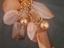 Immagine 5