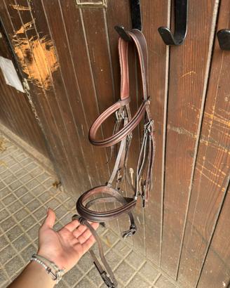 Testiera Equipe extra full cavallo cuoio marrone