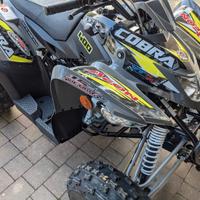 Quad Aeon Cobra 400 modello - 2024