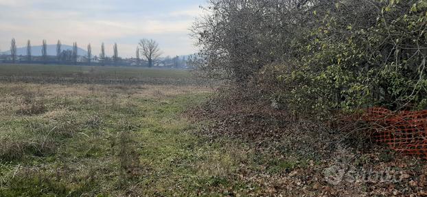 San biagio di teolo rustico con terreno