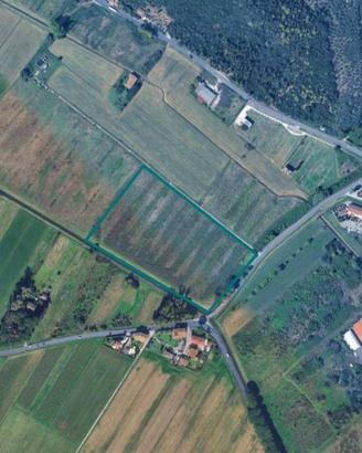 Immobile in asta di 34920 m² a Calci