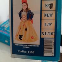 Costumi di Carnevale 