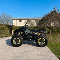 can am renegade 800r