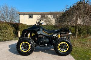 can am renegade 800r