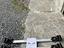 Immagine 6