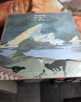 Vinili musica internazionale