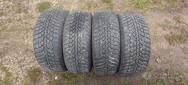 Gomme invernali 