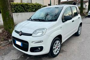 Fiat Panda natural Power