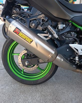 Terminale Akrapovic Kawasaki Z500