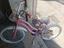 Immagine 2