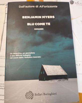 Benjamin Myers - Blu come te