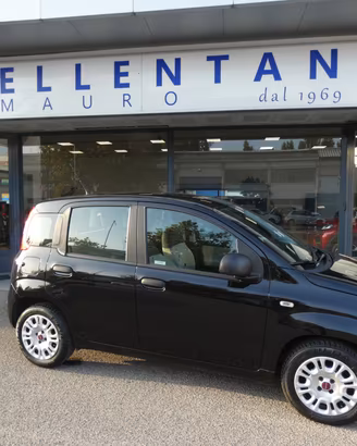 FIAT Panda 3ª serie Panda 1.2 Easy
