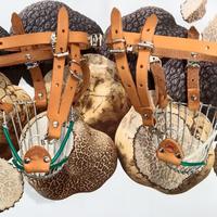 Museruole Salvavita per Cane da Tartufo