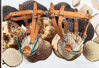 Museruole Salvavita per Cane da Tartufo