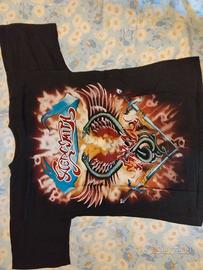 Aerosmith t-shirt