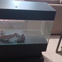 acquario 150 litri