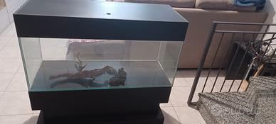 acquario 150 litri