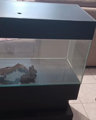 acquario 150 litri