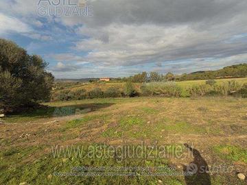 Terreno Agricolo Barrali [A4310295]