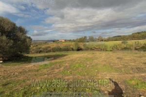 Terreno Agricolo Barrali [A4310295]