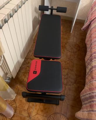 Panga addominai
