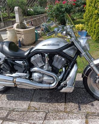 Harley-Davidson V-Rod 2004
