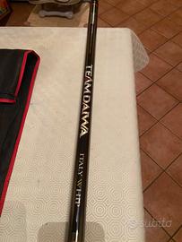 Bolognese Team Daiwa Italy Whip  10 metri
