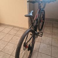 Bici mtb