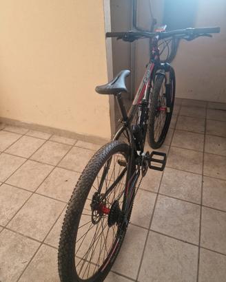 Bici mtb