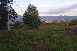 Terreno edificabile zona residenziale a Dipignano