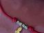 Immagine 5