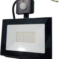 Proiettore Faretto LED da esterno 30W 4000K luce