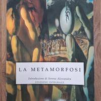 La metamorfosi ( Kafka)
