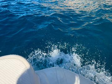 Tender gbsy Venus 20hp