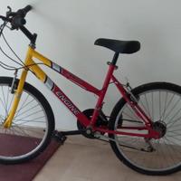 bicicletta mountain bike