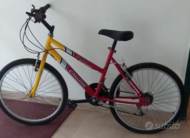 bicicletta mountain bike