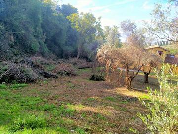 Terreno di 1575 m² a Foligno