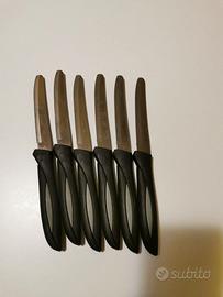 Set 6 coltelli carne
