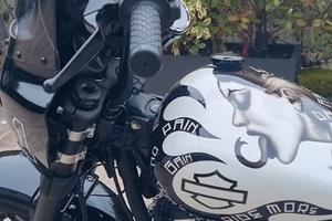 Harleydavidson fat bob softail 