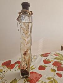 Bottiglia con piantina