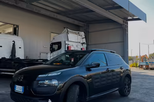 Citroen c4 cactus