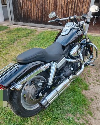 Harley dyna fat bob 