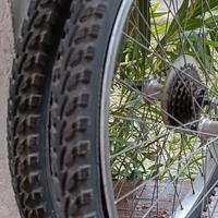 Cerchi MTB 