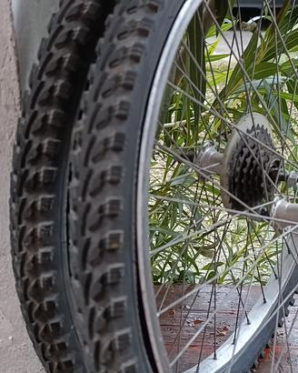 Cerchi MTB 