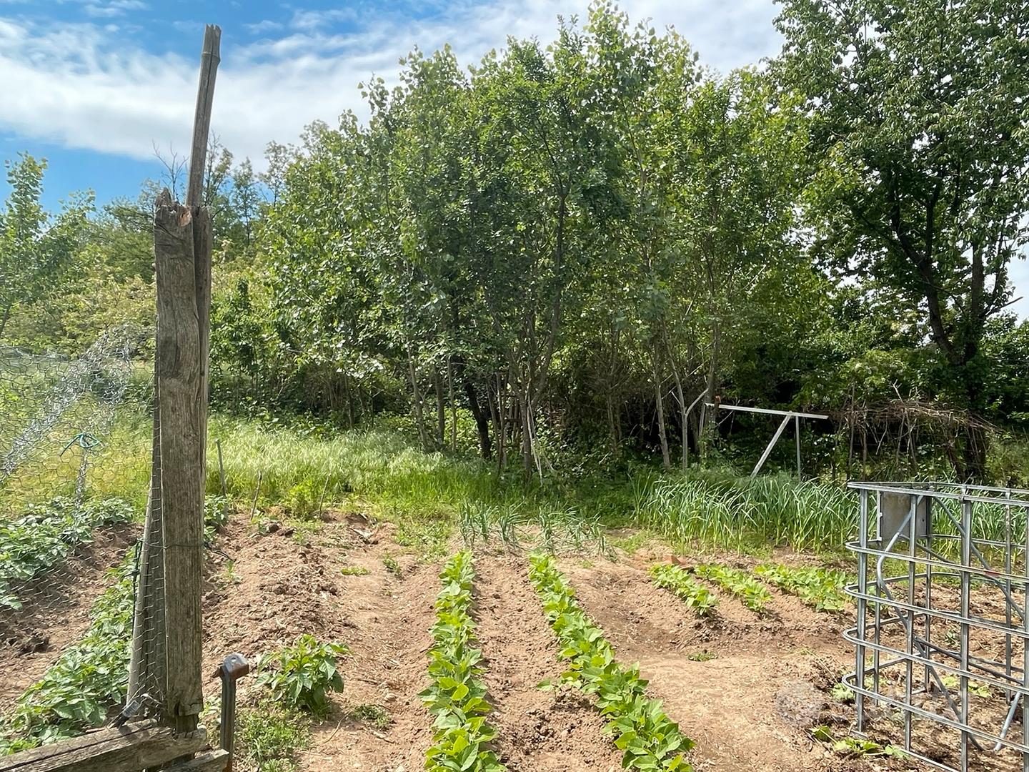 Terreno non edificabile nel parco del Ticino - Vista 4