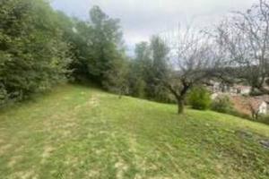 Immobile in asta di 3290 m² a Santo Stefano Roero