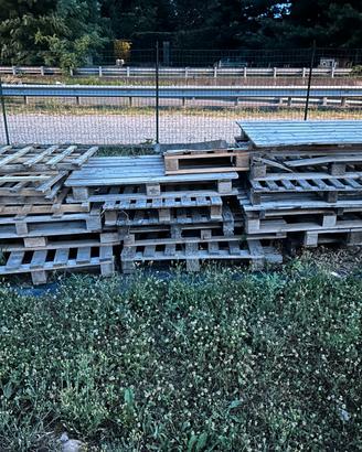 Bancali / Pallet in legno di varie misure